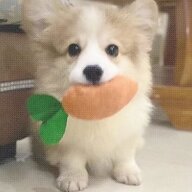 小杰杰
