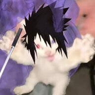 Windandfiseh