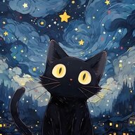 夜の猫