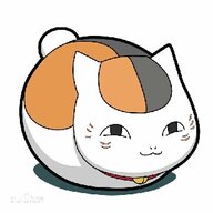 小飞鼠