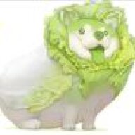 我系白菜