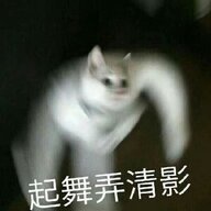 2689997637