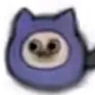 mm11